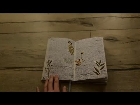 Видео: Личный дневник №33 part2