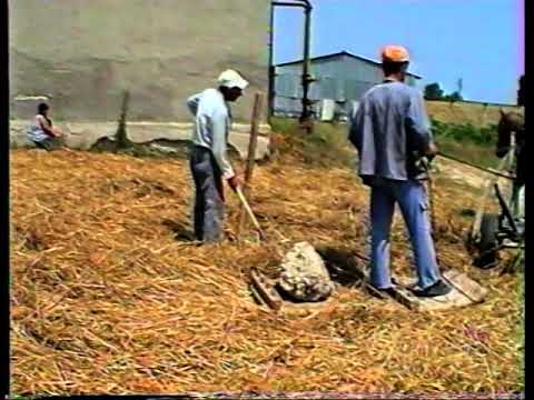 Видео: Вършитба в гр. Долни чифлик през 18–ти век!