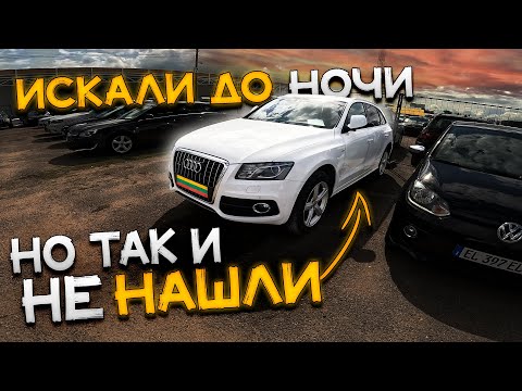 Видео: БОЛЬШОЙ ПОДБОР AUDI Q5 по ЛИТВЕ. ЖИВЫХ ПОЧТИ НЕТ!!!