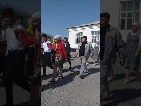 Видео: №30 Б дамашев 11кылас 2002лер