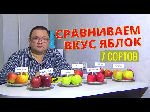 Видео: Дегустация яблок. Сравниваем вкус 7 сортов яблок