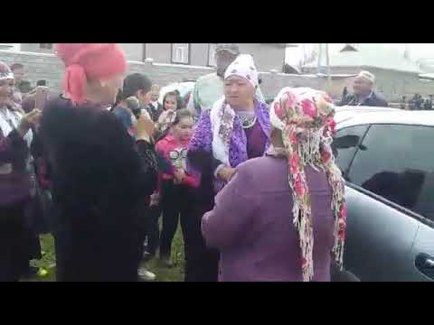 Видео: Той чече мала савай
