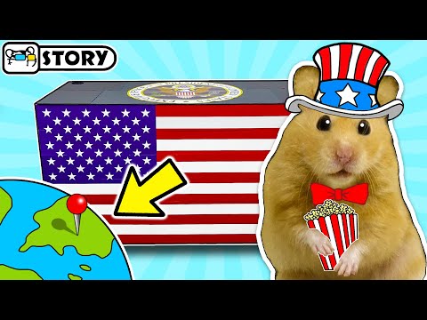 Видео: Хомяк путешественник в США 🧭 Вокруг света 🧭 Хомура Хам Питомцы