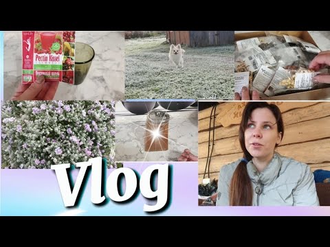 Видео: Влог • Красивая осень 🍁 Мотивация на уборку • Подстричь волосы или нет ?