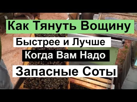 Видео: Пасека # 85 Как Заставляем Тянуть Вощину , Когда Вам надо Соты Пчеловодство для начинающих