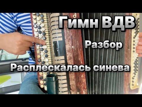 Видео: Расплескалась синева /ГИМН ВДВ/ Учимся играть на БАЯНЕ