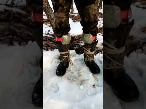 Видео: когти, гаффы  ,ответ заказчику.