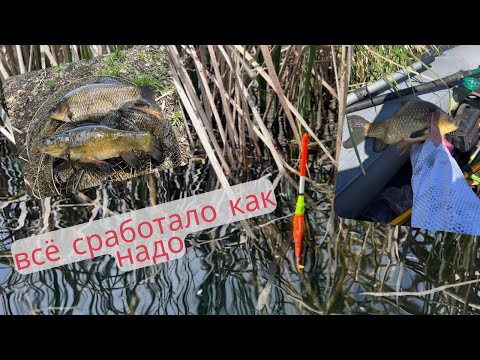 Видео: Килограммовые КАРАСИ. Закрытие платной рыбалки.