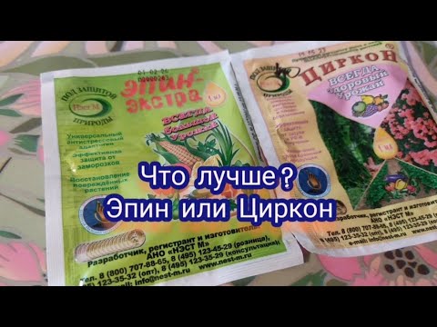 Видео: Эпин или циркон? Что и когда использования при стрессе у растений.