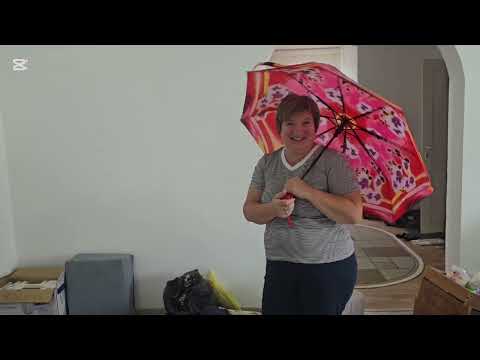 Видео: Каким средством пользуюсь от насекомых в доме, муж прислал видео 