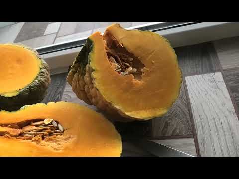 Видео: Тыква МРАМОРНАЯ в разрезе и на вкус, оценка отлично!