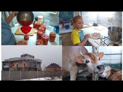 Видео: КАК МЫ ДОМ ПОКУПАЛИ!🙈🤱🌱🤗🐄🥫