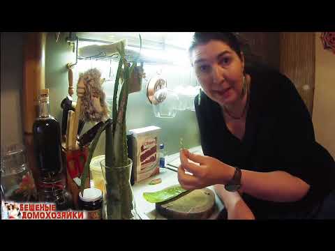 Видео: Жизнь со вкусом 57 Алоэ в жизнь