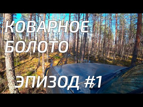 Видео: Через болото к неизведанному озеру