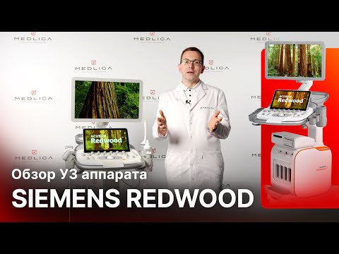 Видео: Обзор УЗИ аппарата Siemens Acuson Redwood