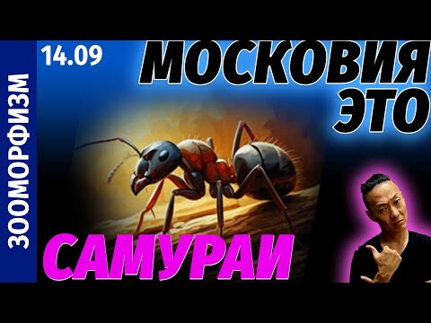 Видео: НПО - Это должны знать с рождения. Врагов нужно уметь определять. Они живут с нами Polyergus samurai