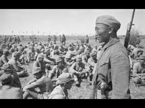 Видео: Японский сад камней в Алматы