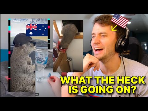 Видео: Американец отреагировал на TikTok: «Поймут только австралийцы»