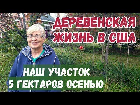 Видео: Деревенская жизнь в США. Наш участок в 5 гектаров, не идеальный, но с душой и осенней красотой.