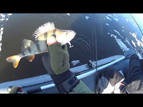 Видео: ХИТРАЯ ОСНАСТКА! ОТВОДНОЙ ПОВОДОК С МОРМЫШКОЙ ЛОВИТ ВСЮ РЫБУ!