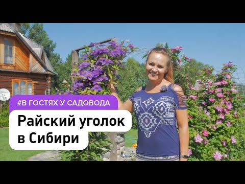 Видео: Сад и огород без химии в Сибири . Экскурсия по огороду мечты