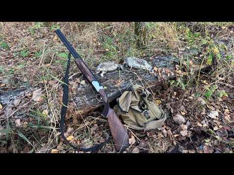Видео: С «коротышом» 20 калибра на рябчика 