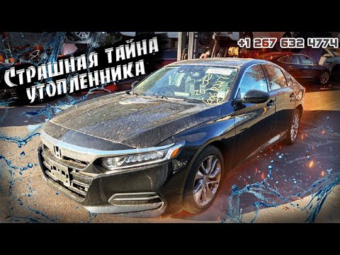 Видео: Honda Accord - цены на утопленники из США 🇺🇸. Находка для перекуса.