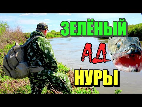 Видео: ЗЕЛЁНЫЙ АД НУРЫ!!! Экспедиция в Дикие Места Нуры!! #рыбалка