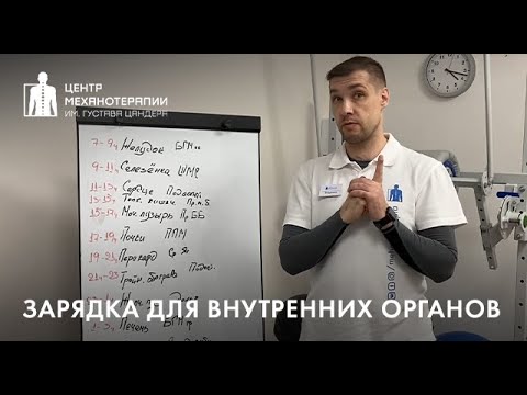 Видео: Кинезиологическая зарядка для внутренних органов