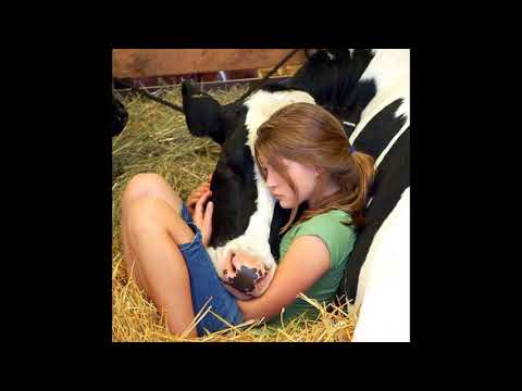 Видео: Синекдоха Монток - Чемодан