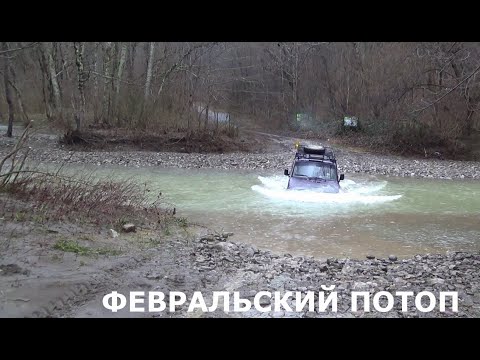 Видео: Хрустелка и пятачок на разведке маршрута. Резанный пятак и ласса улизнули от потопа.