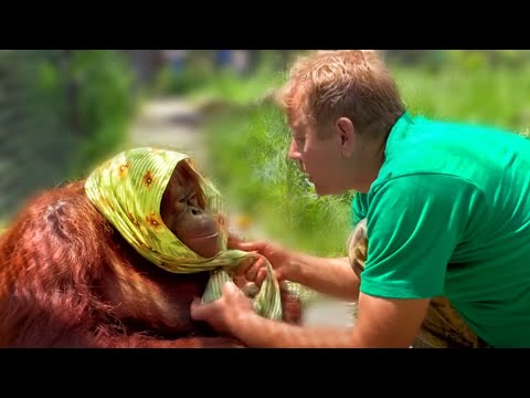 Видео: Алёнка уже не та! Дана и Олег Зубков - ОБХОХОЧЕШЬСЯ! Тайган