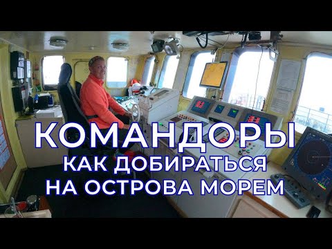 Видео: Как добраться на Командорские острова морем