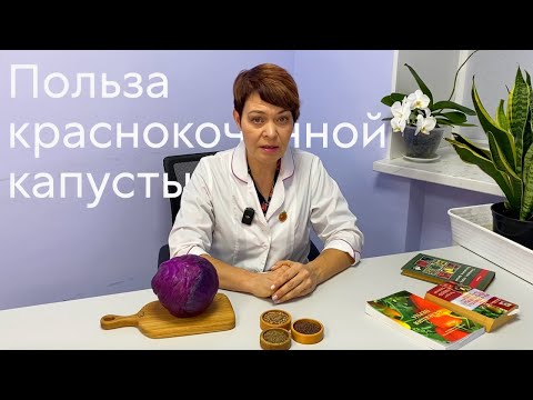 Видео: Польза краснокочанной капусты #ШПС № 118