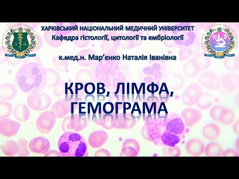 Видео: Кров і лімфа, гемограма. Гістологія
