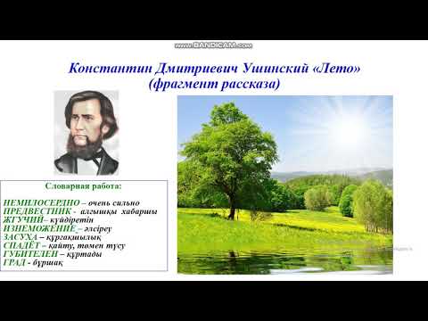 Видео: 6А Ушинский Лето