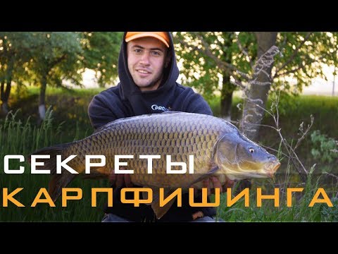 Видео: Секреты карпфишинга. Карповая программа под конкретный водоем в разных погодных условиях.