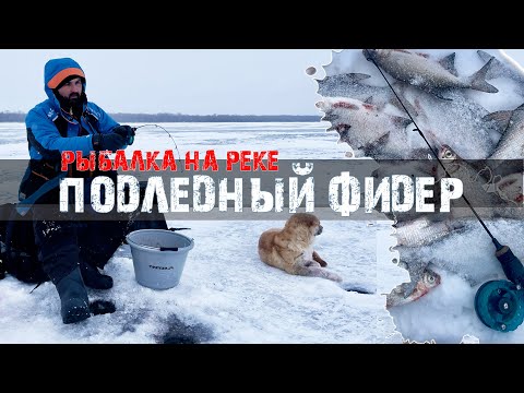 Видео: Фидер со льда | ловлю бель на течении