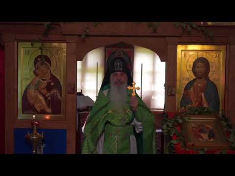 Видео: Как не сойти с ума.