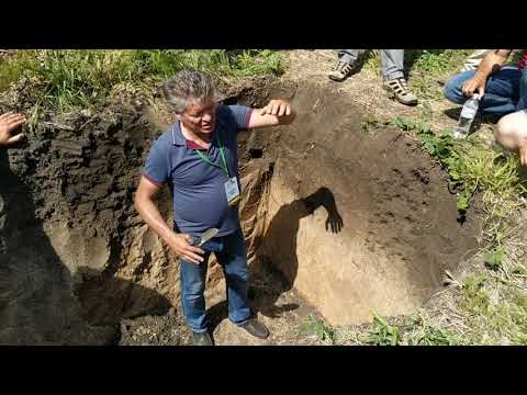 Видео: #NTLAB19 Эдуард Романьков. То, что нужно знать о почве.