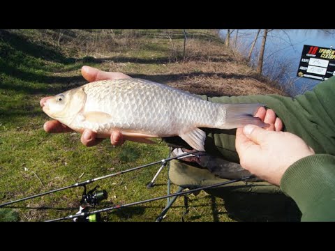 Видео: РЫБАЛКА на КАРАСЯ ЛЕЩА и КАРПА. КАРП не ПРОСНУЛСЯ .... Открытие СЕЗОНА 2024