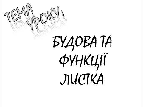 Видео: БУДОВА ТА ФУНКЦІЇ ЛИСТКА