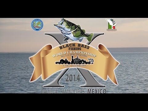 Видео: Х Чемпионат Мира Мексика-2014: взгляд А.Легезо / X World Championship, Mexico, Alexey's Legezo view
