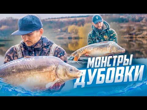 Видео: УХ, НЕ МОЖЕМ ПОДНЯТЬ РЫБУ ИЗ ВОДЫ, Вот это мощь. РЫБАЛКА. Озеро Дубовка