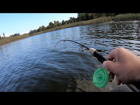 Видео: САЗАНЫ! КАРАСИ ЛАПТИ! РВУТ ЛЕСКУ! зимняя рыбалка с лодки на боковой кивок. удачная рыбалка.