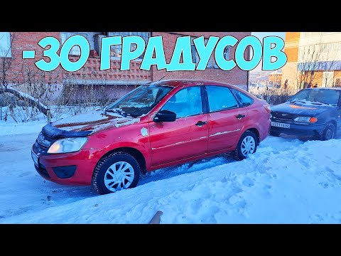 Видео: ПЫТАЮСЬ ЗАВЕСТИ ГРАНТУ В МИНУС 30!