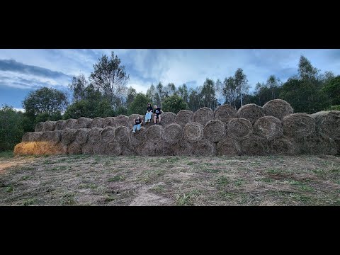 Видео: Заготовка кормов для коров 2024 (сено, сенаж).