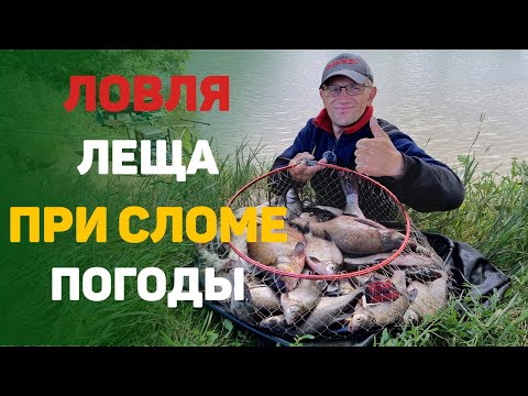 Видео: Ловля леща при сломе погоды