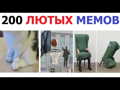 Видео: 200 лютых МЕМОВ. Ленин, котик и стул