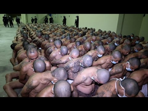 Видео: ҚАНІШЕР БАНДАНЫҢ ДӘСТҮРЛЕРІ | МАРА САЛЬВАТРУЧА | ЕҢ ҚАУІПТІ БАНДА